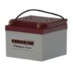 Picture of RG24-15 Concorde Battery LEAD ACID BATTERY 24 V 13.6 AH
