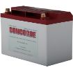 Picture of RG-35A Concorde Battery LEAD ACID BATTERY 12 V 29 AH