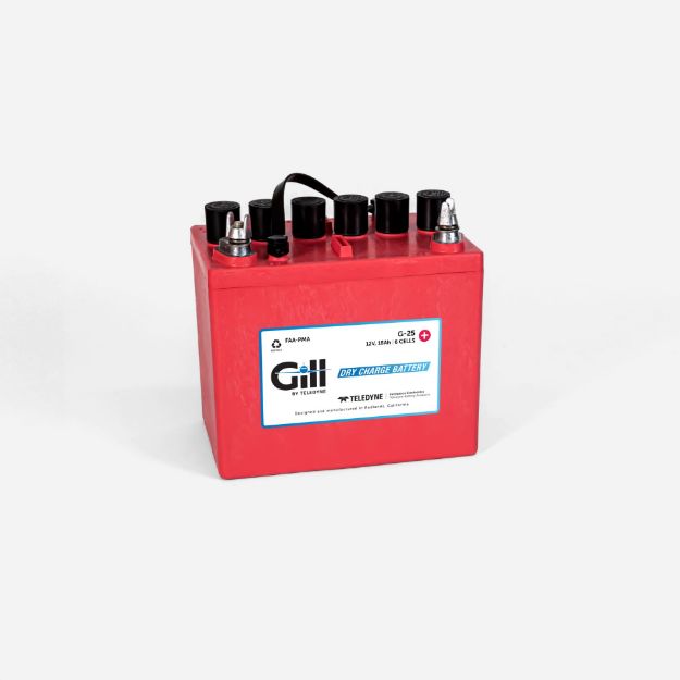 Picture of G-25 Gill Battery DRY CELL BATTERY 12V 18A