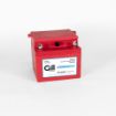 Picture of 7243-14 Gill Battery SEALED ACID BATTERY 24V 14A